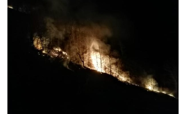Tokat'ta orman yangını, 7 saatte söndürüldü