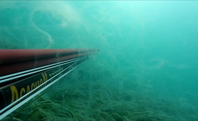 Çanakkale'de müsilajın deniz altındaki görüntüsü tedirgin etti