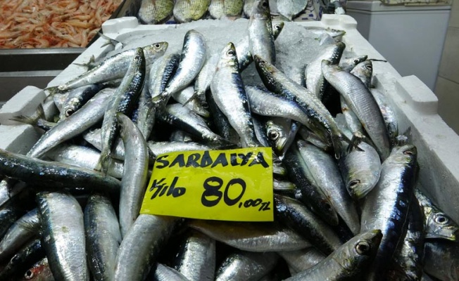 Çanakkale'de balık tezgahlarında sardalyanın kilosu 80 lira