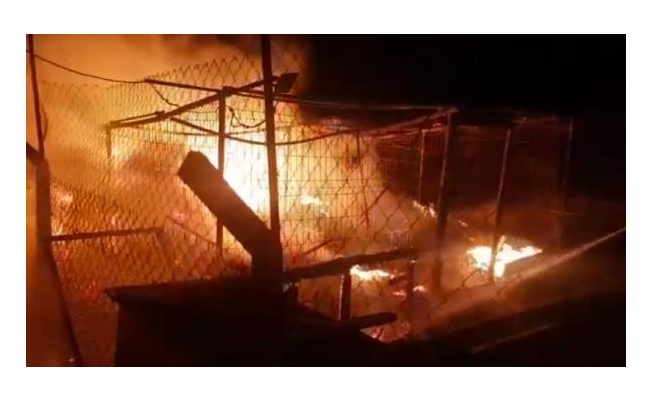 Ankara'da hayvan barınağında korkutan yangın