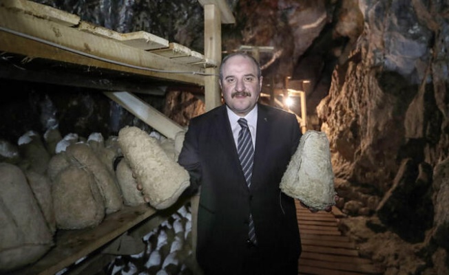 Bakan Varank'tan mağarada üretilen Divle obruk peynirine inceleme