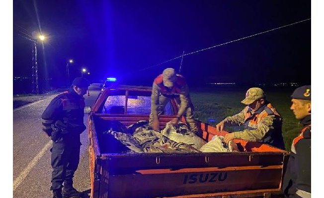 Van'da kaçak avlanan 1 ton inci kefali ele geçirildi