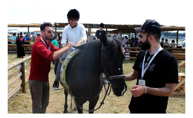 Ada atları engellilerin rehabilitesinde kullanılacak