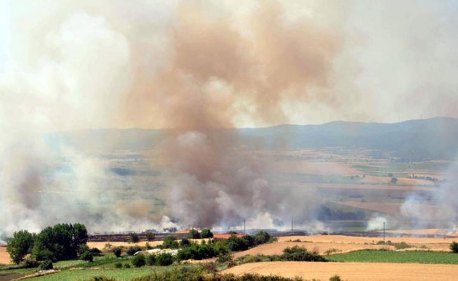 Tekirdağ'da buğday ve arpa ekili 100 dönüm tarla yandı