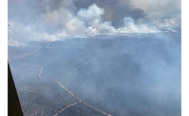 Avrupa aşırı sıcaklar ve orman yangınlarıyla mücadele ediyor