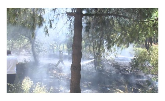 Bakırköy'de hastane bahçesinde yangın çıktı
