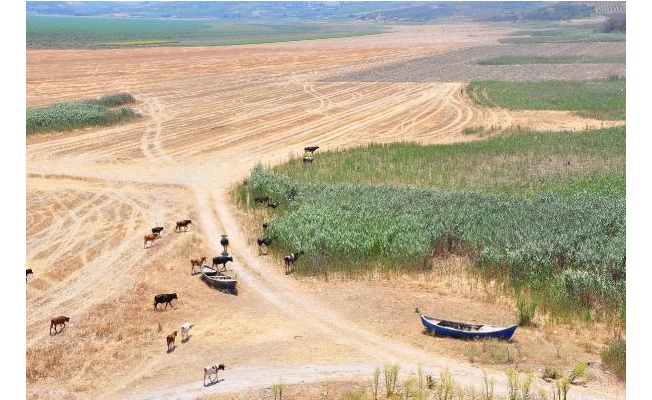 Marmara Gölü'nü kurtaracak proje açıklandı