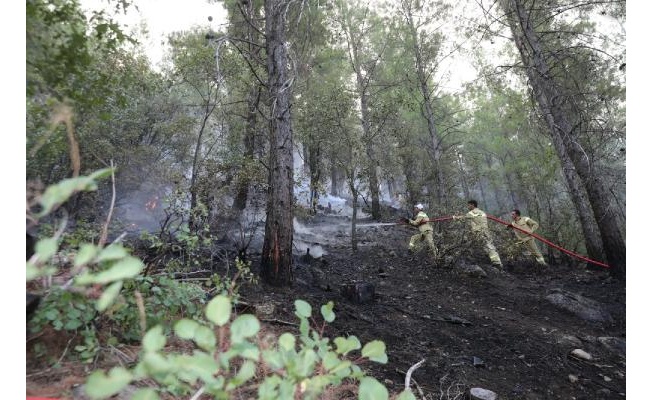 Burdur'daki orman yangını, 6 saatte kontrol altına alındı
