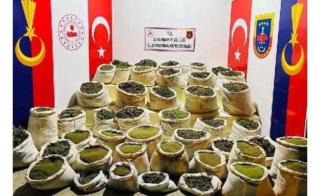 İçişleri: Diyarbakır'da 8 milyon 849 bin kök kenevir ele geçirildi 