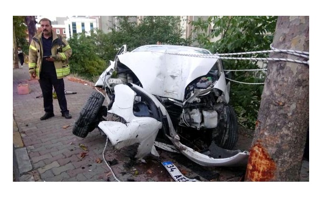 Avcılar'da ağaca çarpan otomobil sürücüsü yaralandı