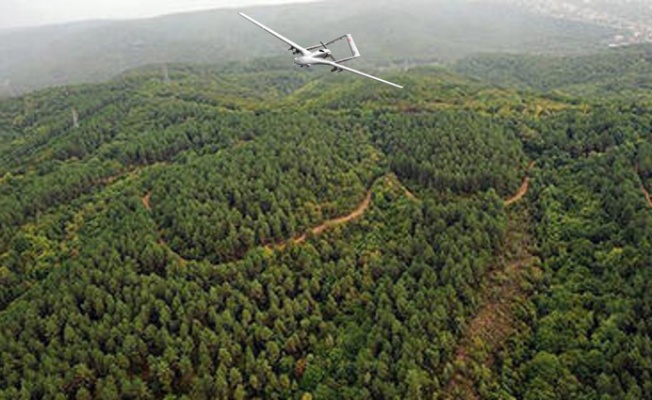 İnsansız hava araçlarıyla dakikada 12,5 milyon hektar orman taranıyor