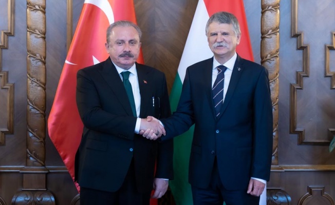 Şentop, Macaristan Meclis Başkanı Köver ile görüştü