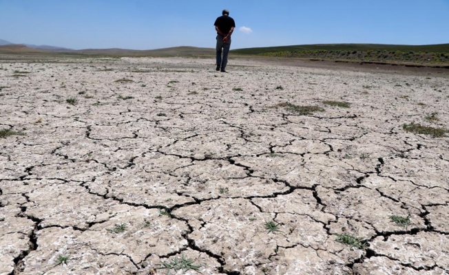 "Van Gölü havzası küresel iklim değişikliğinden daha çok etkilenecek"