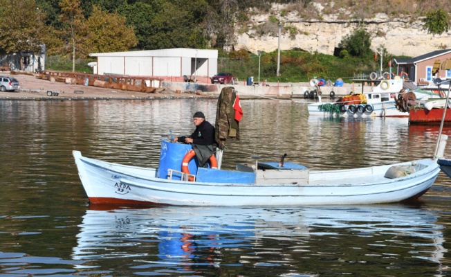 Palamut bolluğu yaşanan Karadeniz'de balıkçıların 'mayın' endişesi