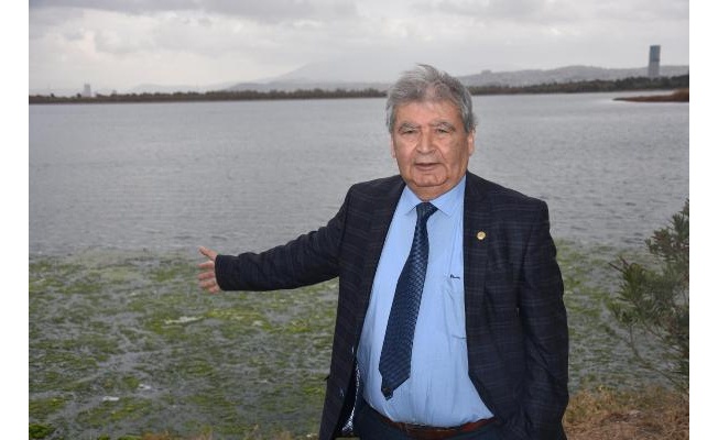 Prof. Dr. Yaşar: İzmir'de tüm zamanların en uzun süreli deniz marulu görülüyor