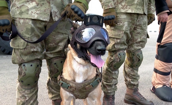Dünya Kupası'nda TSK'nın bomba arama köpekleri de görev yapıyor
