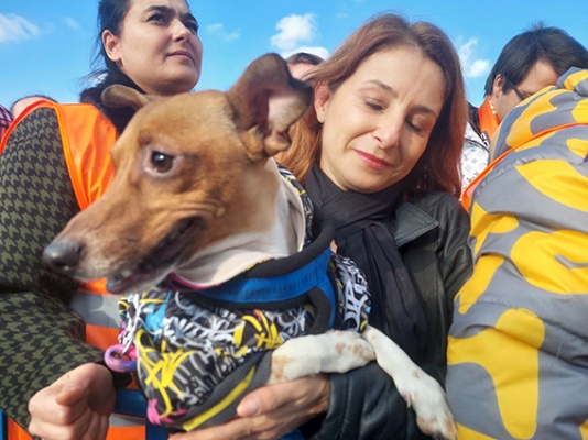 Yenikapı'da hayvan hakları mitingi 