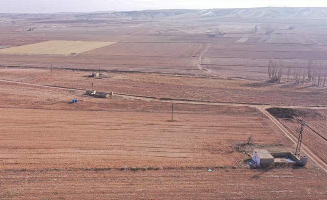 Orta Anadolu'daki kuraklık ekinin çimlenmesini geciktirdi