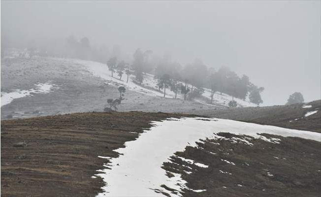 Kars'ta kar yağışı etkili oluyor