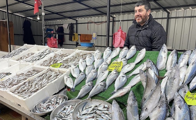 Zonguldaklı balıkçıların yüzünü palamut güldürdü