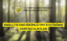 Orman Genel Müdürlüğü 224 daimi işçi alacak