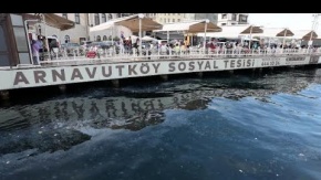 Arnavutköy'de denizanası yoğunluğu