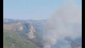 İzmir'de ikinci orman yangını
