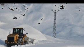 Şırnak'ta 28 köy ve 12 mezra yolu kardan kapandı